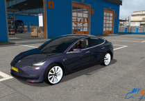 特斯拉 Tesla Model 3 Performance 2021款
