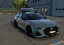 奥迪Audi RS6 Avant C8 2020款  [1.51-1.54]