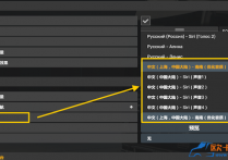 功能模组：苹果Siri语音导航（含12种中文语音）